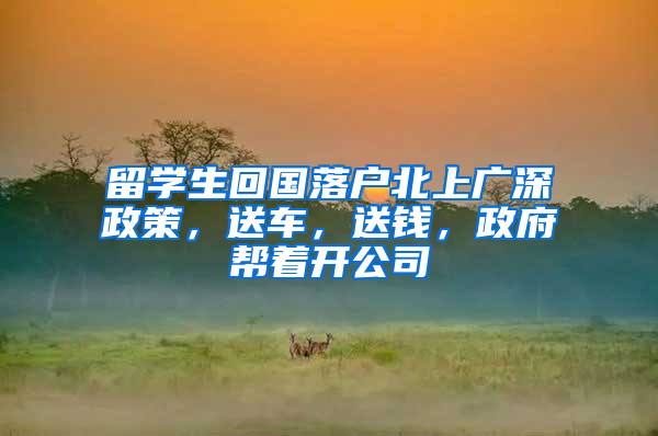 留学生回国落户北上广深政策，送车，送钱，政府帮着开公司