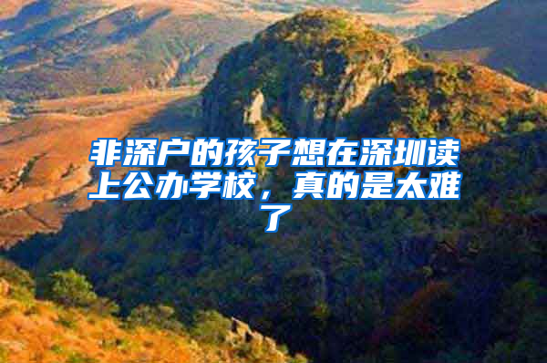 非深户的孩子想在深圳读上公办学校，真的是太难了