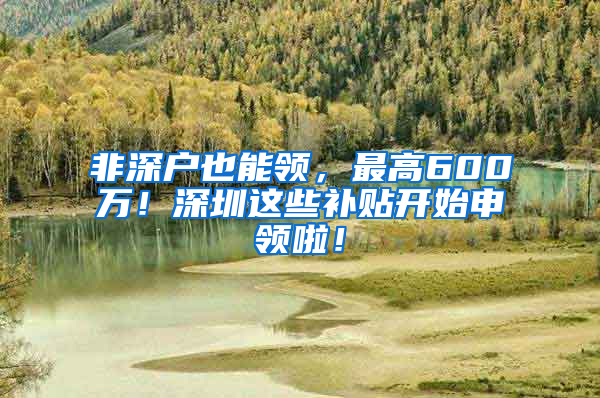 非深户也能领，最高600万！深圳这些补贴开始申领啦！