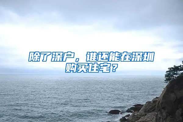 除了深户，谁还能在深圳购买住宅？