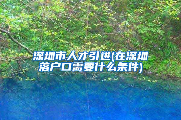 深圳市人才引进(在深圳落户口需要什么条件)