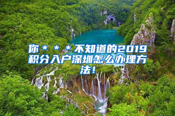 你＊＊＊不知道的2019积分入户深圳怎么办理方法！
