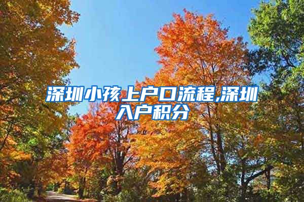 深圳小孩上户口流程,深圳入户积分