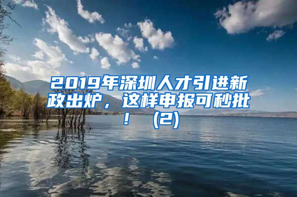 2019年深圳人才引进新政出炉，这样申报可秒批！ (2)