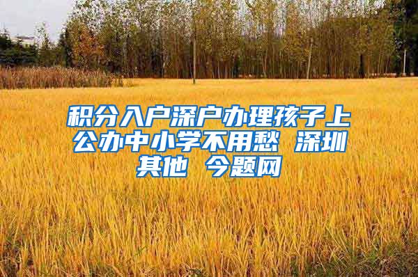 积分入户深户办理孩子上公办中小学不用愁 深圳其他 今题网