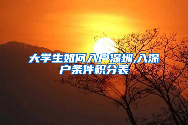 大学生如何入户深圳,入深户条件积分表