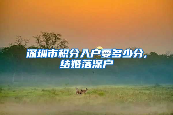 深圳市积分入户要多少分,结婚落深户