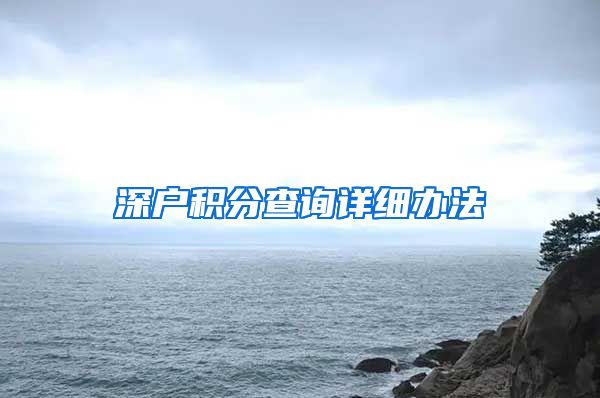 深户积分查询详细办法