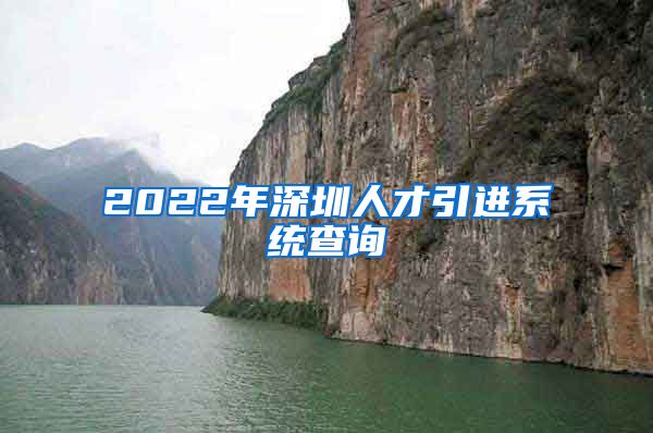 2022年深圳人才引进系统查询