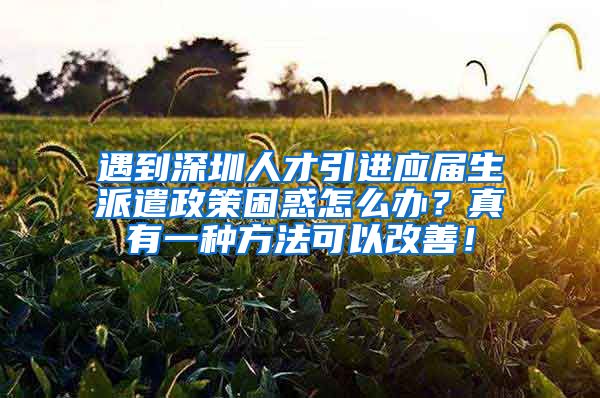 遇到深圳人才引进应届生派遣政策困惑怎么办？真有一种方法可以改善！
