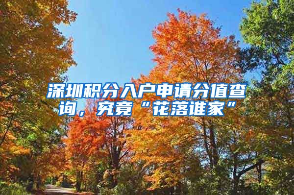 深圳积分入户申请分值查询，究竟“花落谁家”