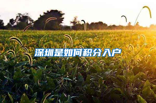 深圳是如何积分入户