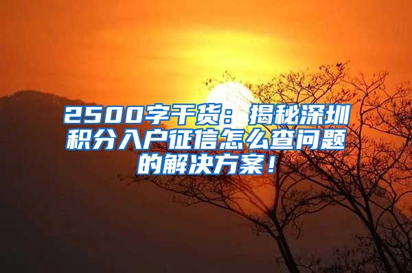 2500字干货：揭秘深圳积分入户征信怎么查问题的解决方案！