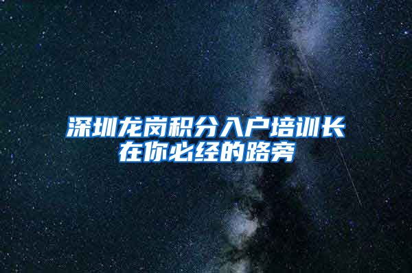 深圳龙岗积分入户培训长在你必经的路旁