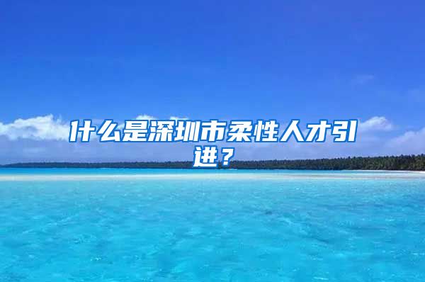 什么是深圳市柔性人才引进？