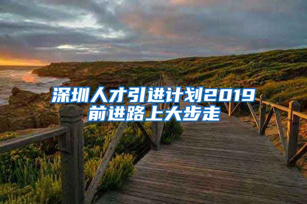 深圳人才引进计划2019前进路上大步走