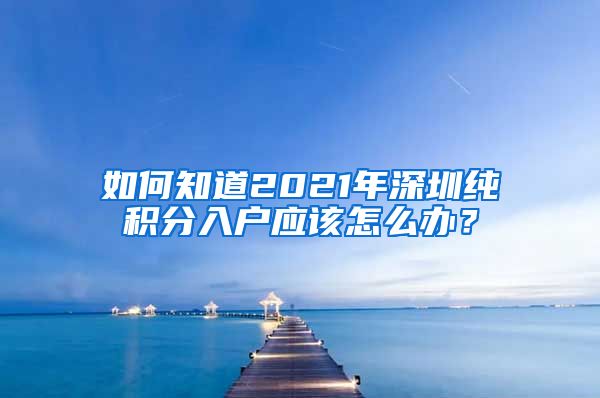 如何知道2021年深圳纯积分入户应该怎么办？