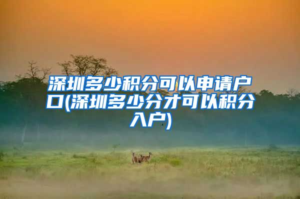 深圳多少积分可以申请户口(深圳多少分才可以积分入户)