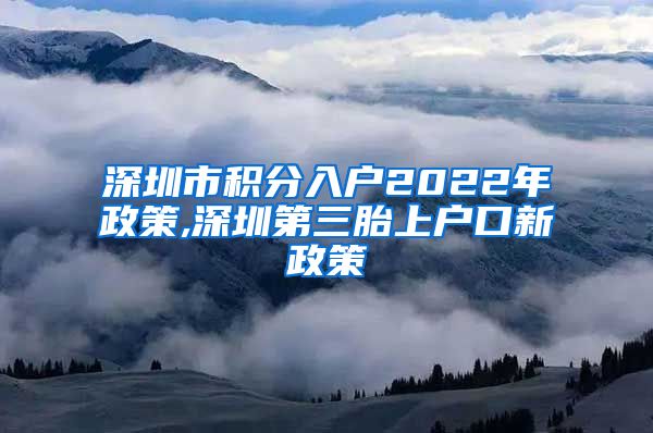 深圳市积分入户2022年政策,深圳第三胎上户口新政策