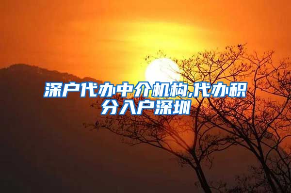 深户代办中介机构,代办积分入户深圳