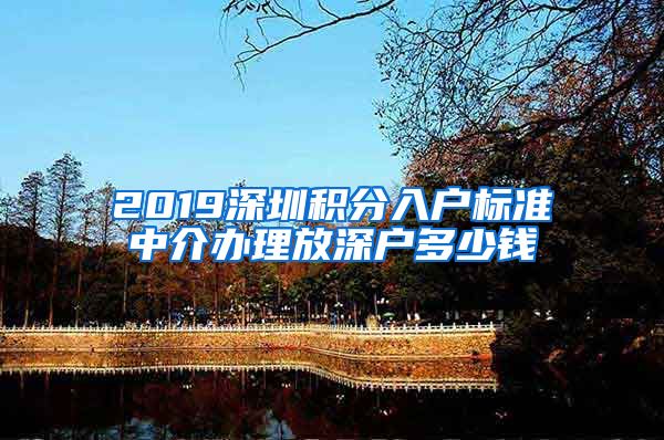2019深圳积分入户标准中介办理放深户多少钱