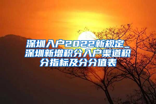 深圳入户2022新规定_深圳新增积分入户渠道积分指标及分分值表