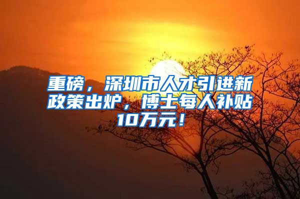 重磅，深圳市人才引进新政策出炉，博士每人补贴10万元！