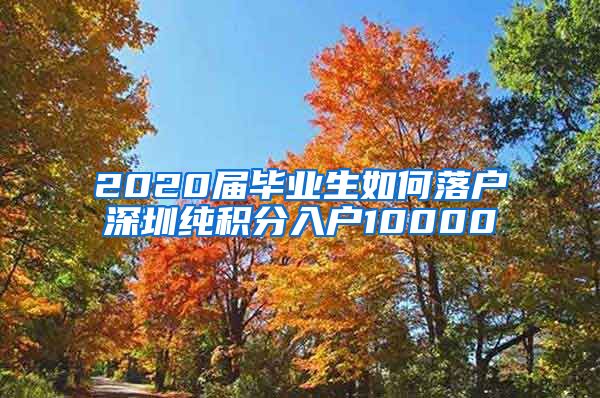 2020届毕业生如何落户深圳纯积分入户10000