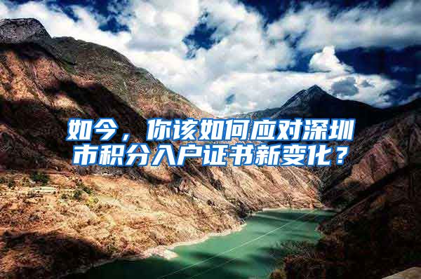 如今，你该如何应对深圳市积分入户证书新变化？