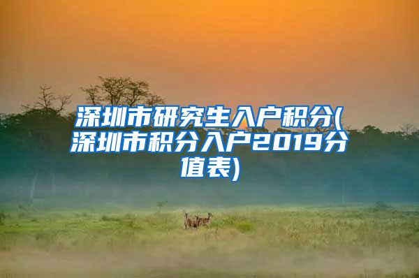 深圳市研究生入户积分(深圳市积分入户2019分值表)