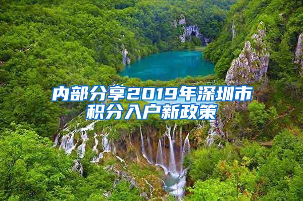 内部分享2019年深圳市积分入户新政策