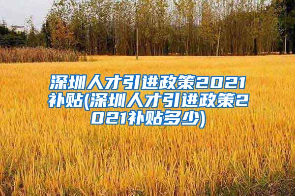 深圳人才引进政策2021补贴(深圳人才引进政策2021补贴多少)