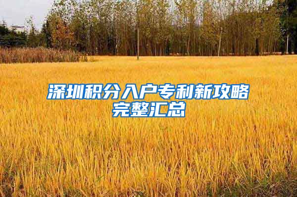 深圳积分入户专利新攻略完整汇总