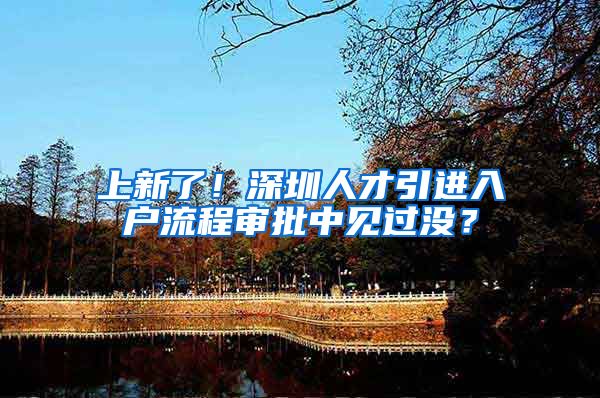 上新了！深圳人才引进入户流程审批中见过没？