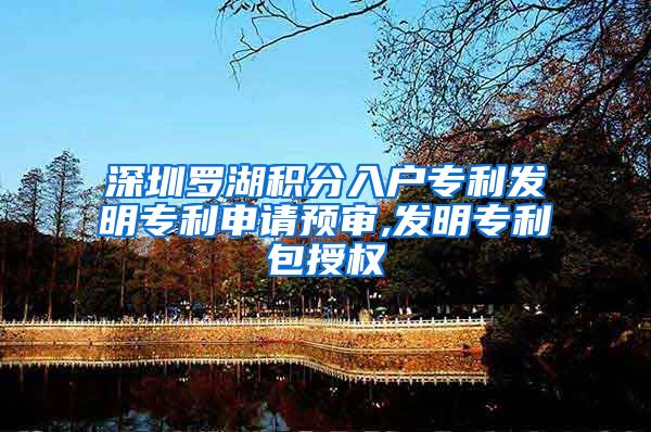 深圳罗湖积分入户专利发明专利申请预审,发明专利包授权