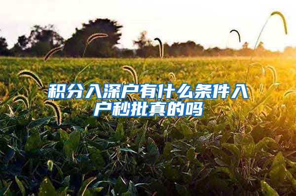 积分入深户有什么条件入户秒批真的吗