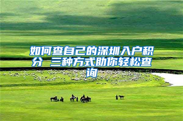 如何查自己的深圳入户积分 三种方式助你轻松查询