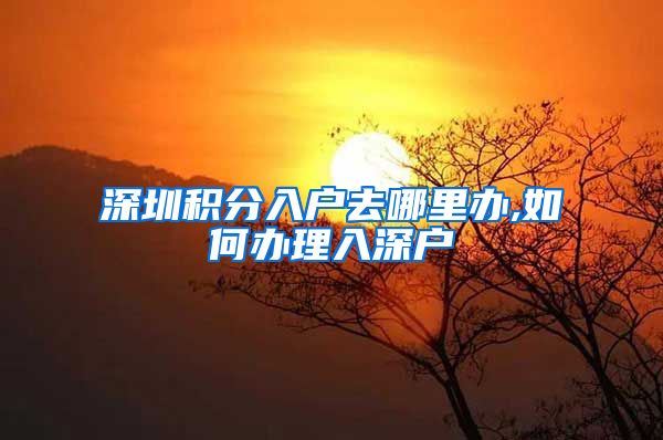 深圳积分入户去哪里办,如何办理入深户