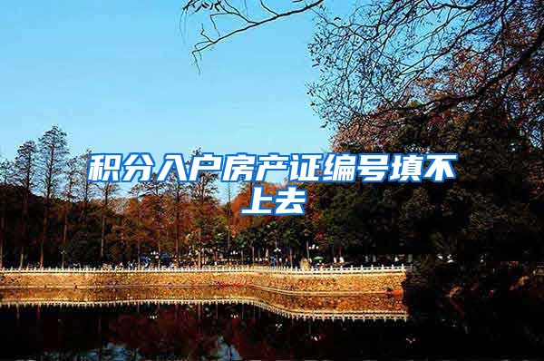积分入户房产证编号填不上去