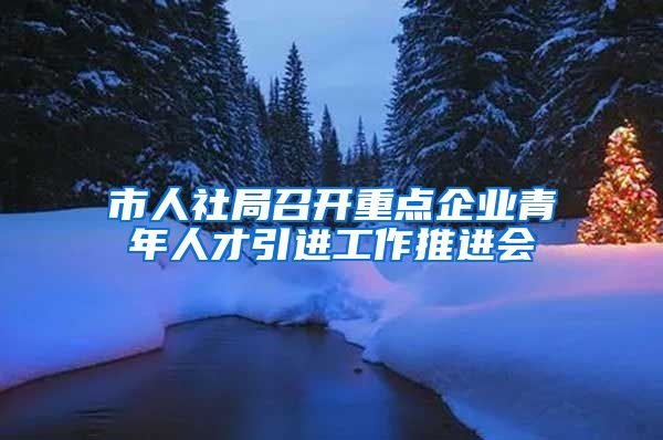 市人社局召开重点企业青年人才引进工作推进会