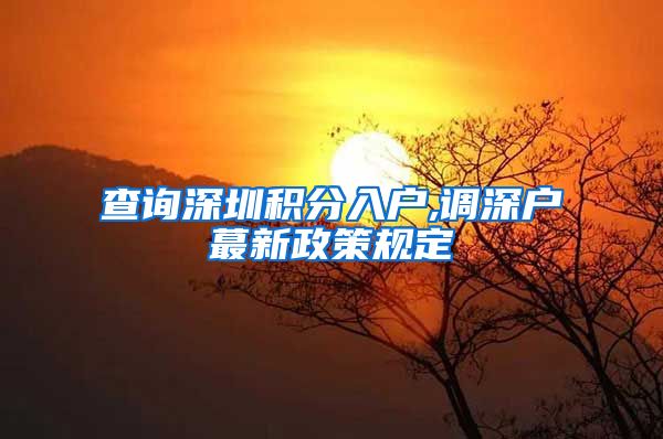 查询深圳积分入户,调深户蕞新政策规定