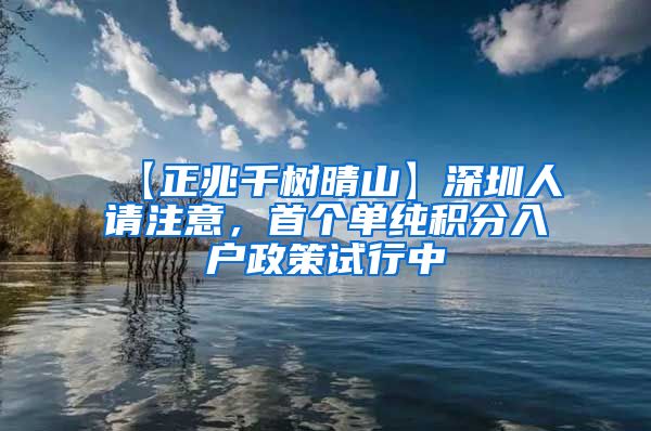 【正兆千树晴山】深圳人请注意，首个单纯积分入户政策试行中