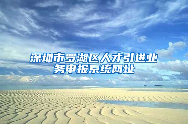 深圳市罗湖区人才引进业务申报系统网址
