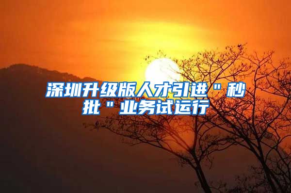 深圳升级版人才引进＂秒批＂业务试运行