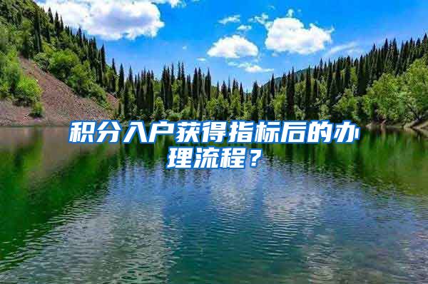 积分入户获得指标后的办理流程？