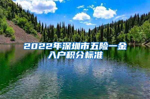 2022年深圳市五险一金入户积分标准