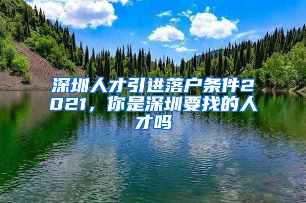 深圳人才引进落户条件2021，你是深圳要找的人才吗