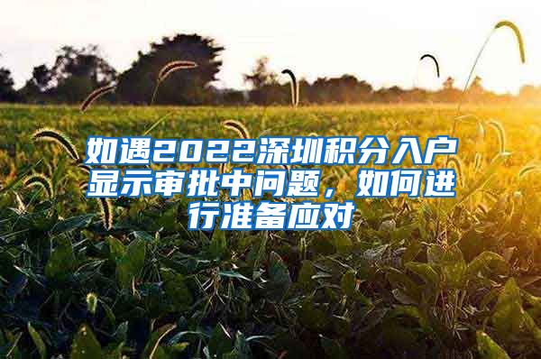 如遇2022深圳积分入户显示审批中问题，如何进行准备应对