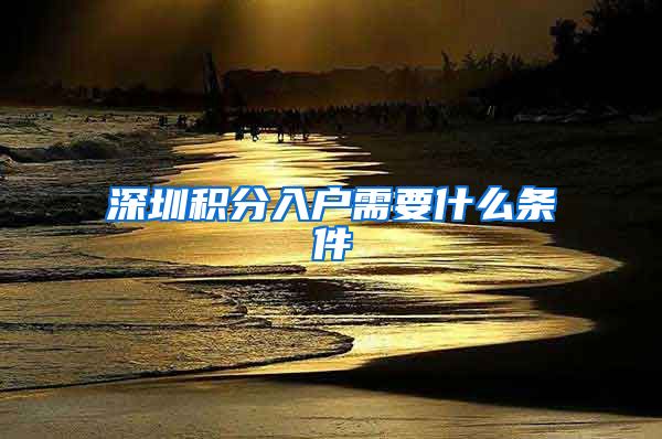 深圳积分入户需要什么条件