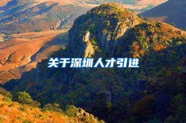 关于深圳人才引进